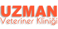 biyazilim.com